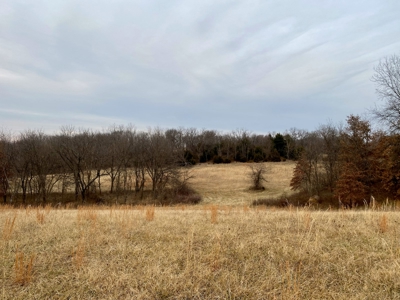 Ray County Missouri Hunting Land For Sale - image 5