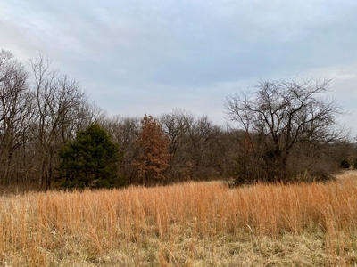 Ray County Missouri Hunting Land For Sale - image 19