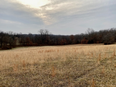 Ray County Missouri Hunting Land For Sale - image 7