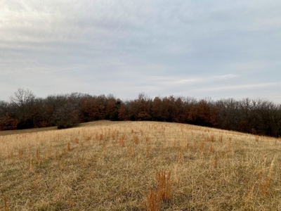 Ray County Missouri Hunting Land For Sale - image 6