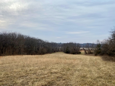 Ray County Missouri Hunting Land For Sale - image 8