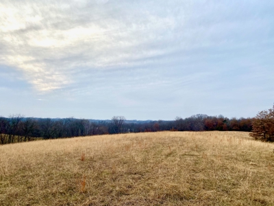 Ray County Missouri Hunting Land For Sale - image 4