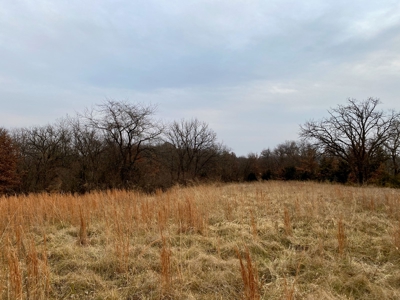 Ray County Missouri Hunting Land For Sale - image 18