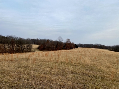 Ray County Missouri Hunting Land For Sale - image 11
