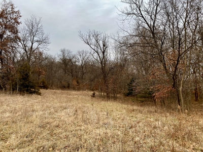 Ray County Missouri Hunting Land For Sale - image 17