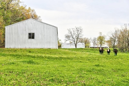 Ozark Country Living With Pasture And Spring West Plains Mo - image 12