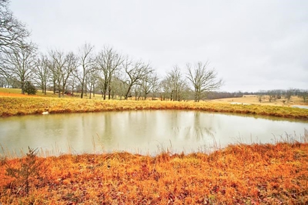 Ozark Country Living With Pasture And Spring West Plains Mo - image 41