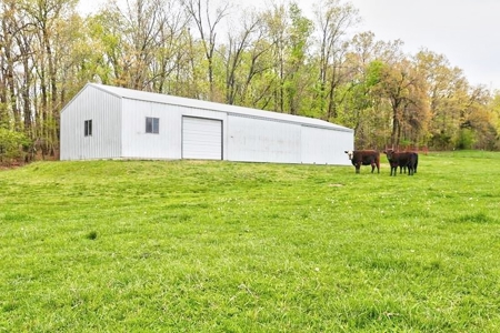 Ozark Country Living With Pasture And Spring West Plains Mo - image 3
