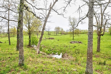 Ozark Country Living With Pasture And Spring West Plains Mo - image 37