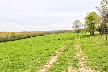 Ozark Country Living With Pasture And Spring West Plains Mo - image 36