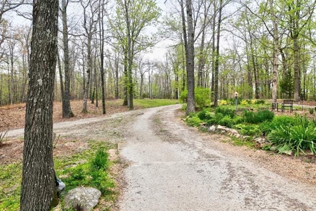 Ozark Country Living With Pasture And Spring West Plains Mo - image 6