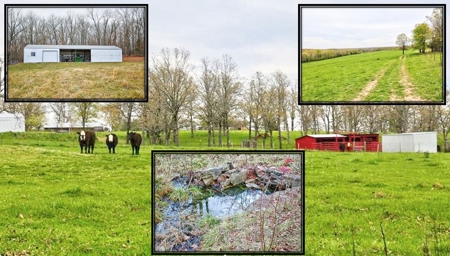 Ozark Country Living With Pasture And Spring West Plains Mo - image 1