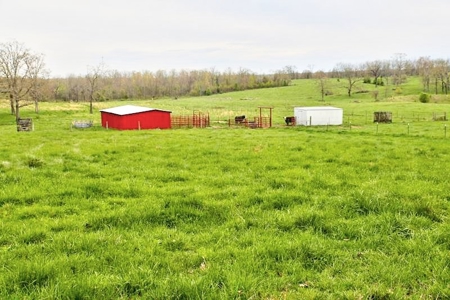 Ozark Country Living With Pasture And Spring West Plains Mo - image 26