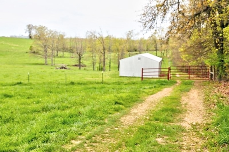 Ozark Country Living With Pasture And Spring West Plains Mo - image 24
