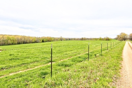 Ozark Country Living With Pasture And Spring West Plains Mo - image 35