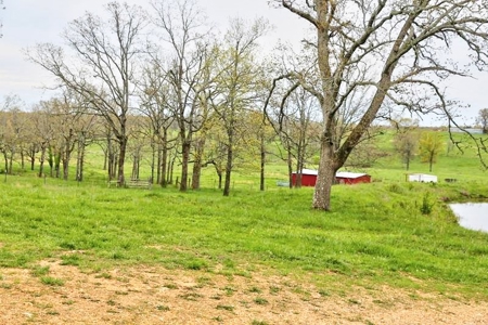 Ozark Country Living With Pasture And Spring West Plains Mo - image 29