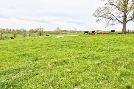 Ozark Country Living With Pasture And Spring West Plains Mo - image 34