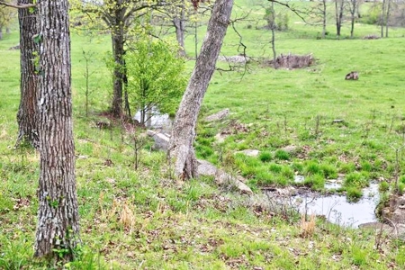 Ozark Country Living With Pasture And Spring West Plains Mo - image 38
