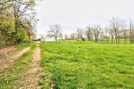 Ozark Country Living With Pasture And Spring West Plains Mo - image 31