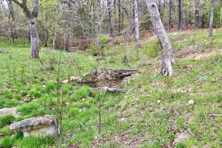 Ozark Country Living With Pasture And Spring West Plains Mo - image 39