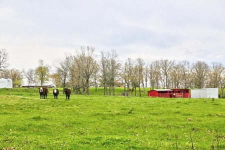 Ozark Country Living With Pasture And Spring West Plains Mo - image 2