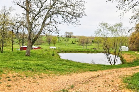 Ozark Country Living With Pasture And Spring West Plains Mo - image 7