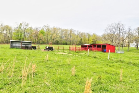 Ozark Country Living With Pasture And Spring West Plains Mo - image 27