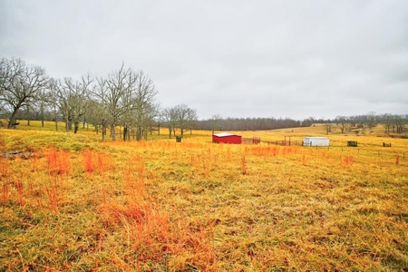 Ozark Country Living With Pasture And Spring West Plains Mo - image 42