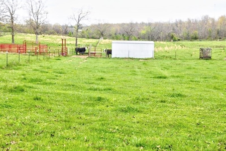 Ozark Country Living With Pasture And Spring West Plains Mo - image 28