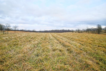 Ozark Country Living With Pasture And Spring West Plains Mo - image 11