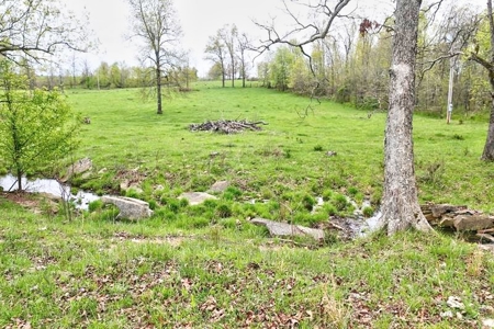 Ozark Country Living With Pasture And Spring West Plains Mo - image 40