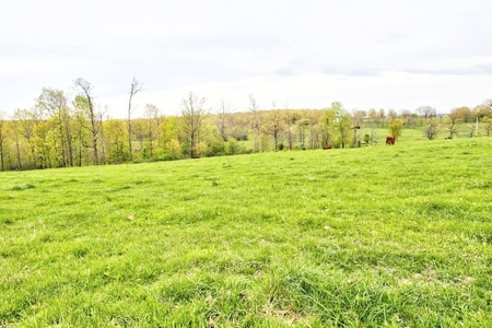 Ozark Country Living With Pasture And Spring West Plains Mo - image 33
