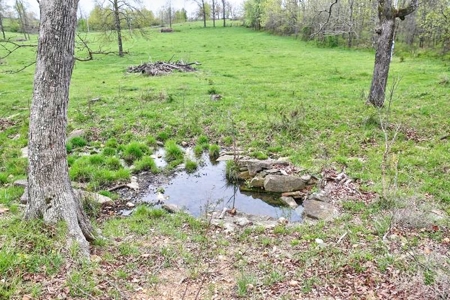 Ozark Country Living With Pasture And Spring West Plains Mo - image 10