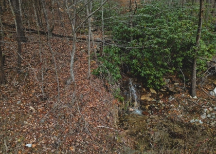 East Tennessee Mountain Land for Sale Grainger County - image 17