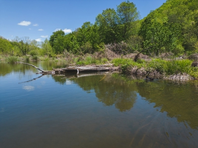 East Tennessee Mountain Land for Sale Grainger County - image 49