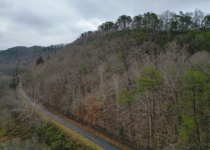 East Tennessee Mountain Land for Sale Grainger County - image 28