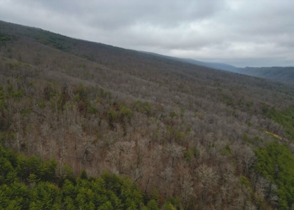 East Tennessee Mountain Land for Sale Grainger County - image 21