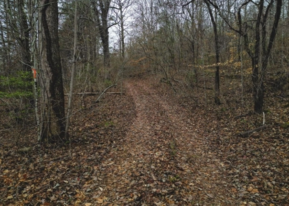 East Tennessee Mountain Land for Sale Grainger County - image 15