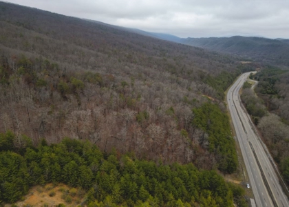 East Tennessee Mountain Land for Sale Grainger County - image 20