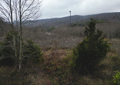 East Tennessee Mountain Land for Sale Grainger County - image 27