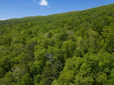 East Tennessee Mountain Land for Sale Grainger County - image 37