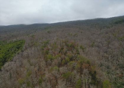 East Tennessee Mountain Land for Sale Grainger County - image 23