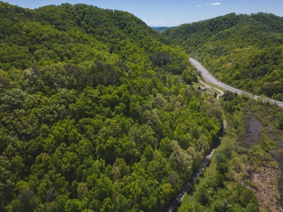 East Tennessee Mountain Land for Sale Grainger County - image 36