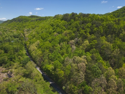East Tennessee Mountain Land for Sale Grainger County - image 39