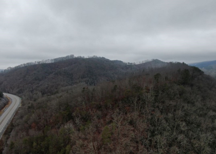 East Tennessee Mountain Land for Sale Grainger County - image 5