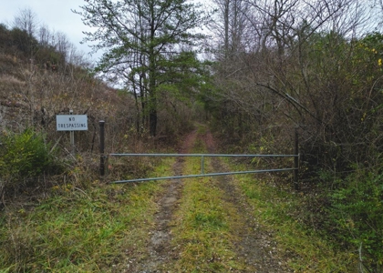East Tennessee Mountain Land for Sale Grainger County - image 14