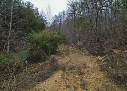 East Tennessee Mountain Land for Sale Grainger County - image 26