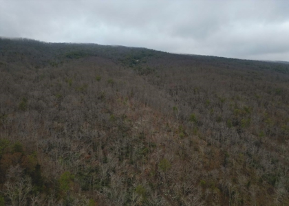 East Tennessee Mountain Land for Sale Grainger County - image 22