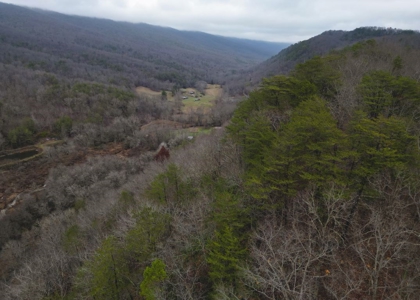 East Tennessee Mountain Land for Sale Grainger County - image 32