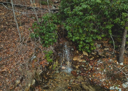 East Tennessee Mountain Land for Sale Grainger County - image 16